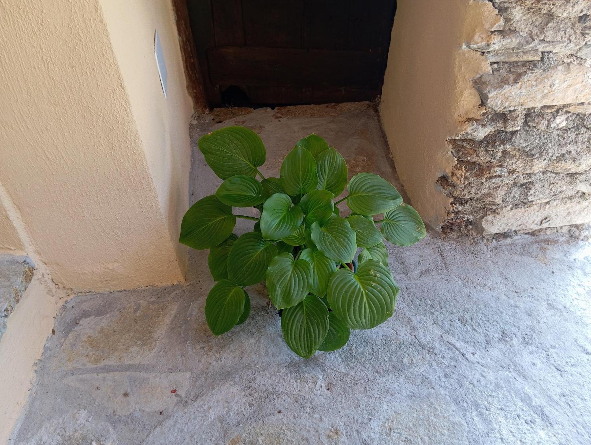 Agriturismo U' Spigu Nonna Annetta Nasino Εξωτερικό φωτογραφία
